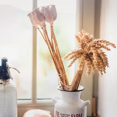 Jedinecne Byvanie V Blizkosti Banskej Stiavnice