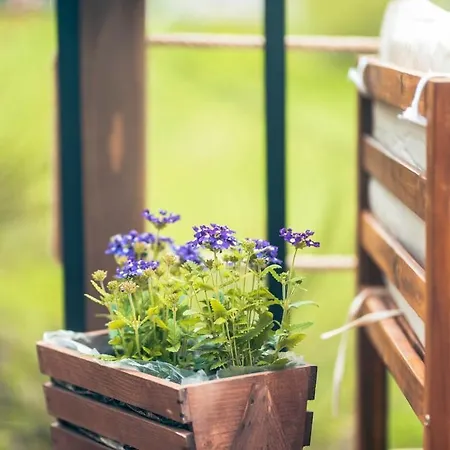 Ferienhaus Jedinecne Byvanie V Blizkosti Banskej Stiavnice *