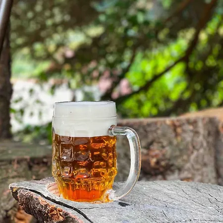 Jedinecne Byvanie V Blizkosti Banskej Stiavnice *